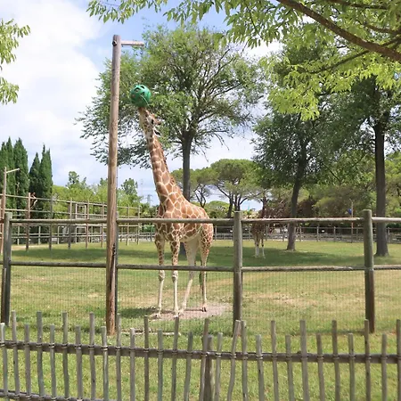 Апартаменты Tra I Pini